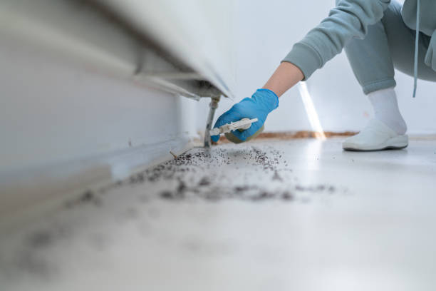 Best Pest Removal Services  in Wade, MS